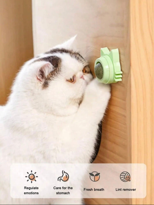 Catnip Ball